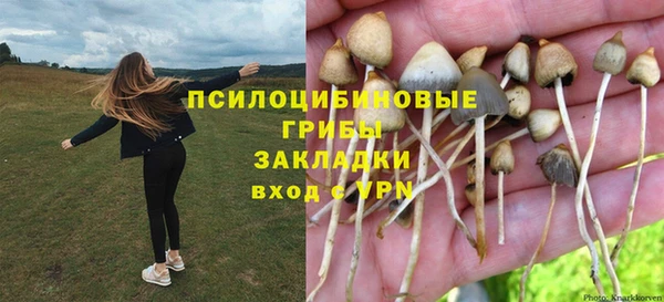 экстази Алексеевка