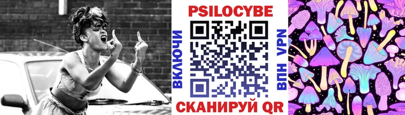 цены   Богучар  Галлюциногенные грибы GOLDEN TEACHER 