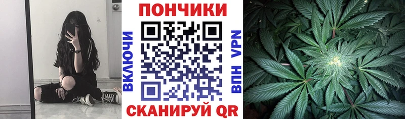 как найти закладки  Богучар  Канабис THC 21% 